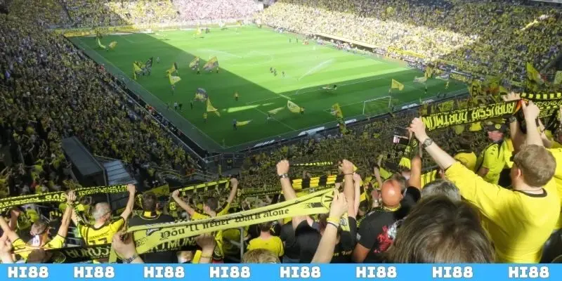 Những sai lầm cần tránh khi chơi cá cược đồng banh