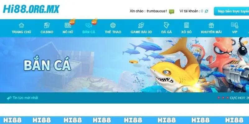 Quy trình tham gia săn cá đổi thưởng dành cho tân binh